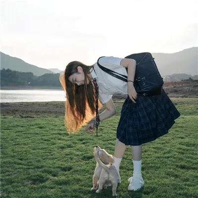 驯鹿游戏